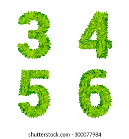 ABC glass leaves letter number elements modern nature placard lettering leafy foliar deciduous vector set. 3 4 5 6 leaf leafed foliated natural letters latin English alphabet font collection.