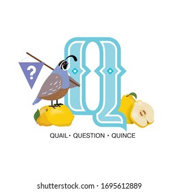 ABC Nursery Decor Print. Letter Q is for quail with question and quinces