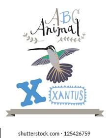 ABC  xantus 