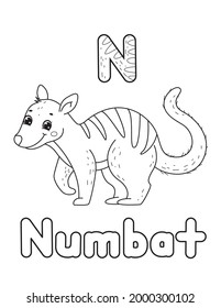 ABCanimals coloring book. Animals alphabet. Vector cartoon numbat. Isolated on white background.