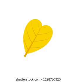 abcordate leaf flat icon on transparent background