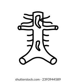 Abdominal Arteries icon in vector. Logotype