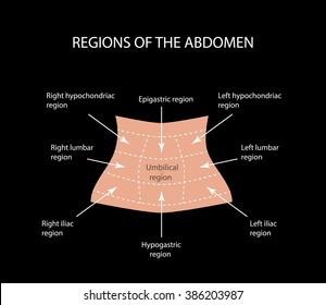 Abdominal Quadrants Labeled - Module 3 Abdominal Imaging - Kypoliticalwatch