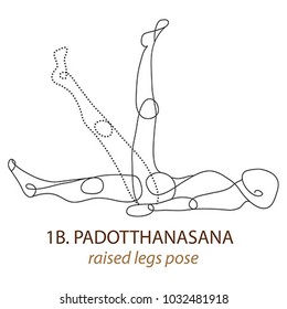 abdominal/digestive yoga pose vector