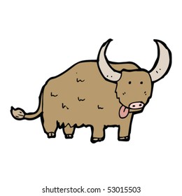aberdeen angus cow drawing