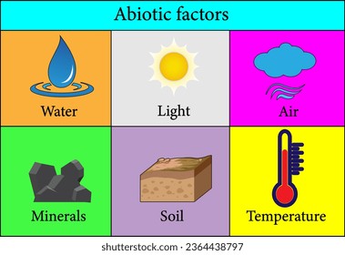 Abiotic Factors in the Environment.Vector illustration