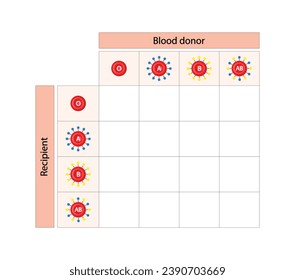 Abo Blood Compatibility Chart. Blood donation, ABO Blood groups droplets., four blood types, A,B, AB and O groups, made up from combinations of the type A and type B antigens. Vector Illustration.