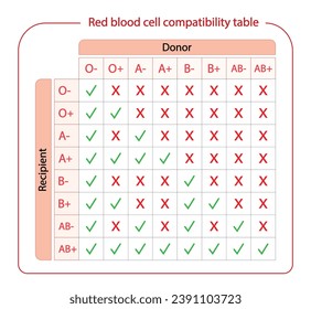 Tabla De Compatibilidad Sanguínea. Donación de sangre, gotas de grupos sanguíneos ABO, cuatro tipos de sangre, grupos A, B, AB y O, compuestos por combinaciones de antígenos tipo A y tipo B. Ilustración vectorial.
