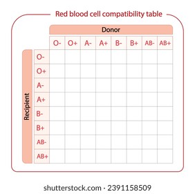 Tabla De Compatibilidad Sanguínea. Donación de sangre, gotas de grupos sanguíneos ABO, cuatro tipos de sangre, grupos A, B, AB y O, compuestos por combinaciones de antígenos tipo A y tipo B. Ilustración vectorial.