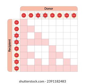 Abo Blood Compatibility Chart. Blood donation, ABO Blood groups. four blood types, A,B, AB and O groups, made up from combinations of the type A and type B antigens. Vector Illustration.