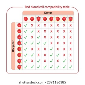 Übersicht über die Blutverträglichkeit. Blutspenden, ABO Blutgruppen Tröpfchen., vier Bluttypen, A, B, AB und O Gruppen, die aus Kombinationen der Antigene Typ A und Typ B bestehen. Vektorgrafik.
