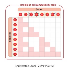 Abo Blood Compatibility Chart. Blood donation, ABO Blood groups. four blood types, A,B, AB and O groups, made up from combinations of the type A and type B antigens. Vector Illustration.