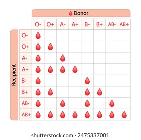 In: ABO Blood Compatibility Chart. Blutspende, ABO-Blutgruppen Tröpfchen, vier Blutgruppen, A-, B-, AB- und O-Gruppen, zusammengesetzt aus Kombinationen der Antigene vom Typ A und Typ B. Vektorillustration.