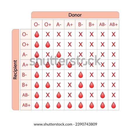 Abo Blood Compatibility Chart. Blood donation, ABO Blood groups droplets., four blood types, A,B, AB and O groups, made up from combinations of the type A and type B antigens. Vector Illustration.