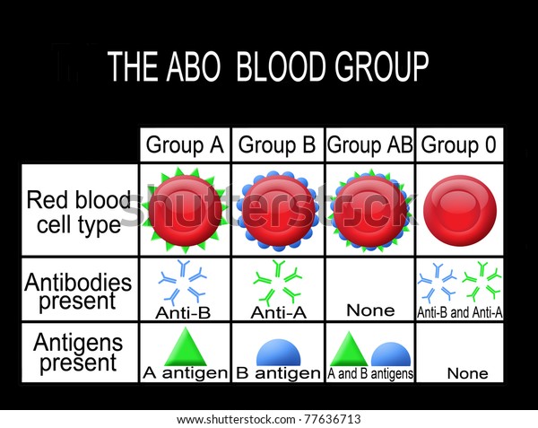 Abo Blood Group Diagram Useful Medical Stock Vector (Royalty Free) 77636713