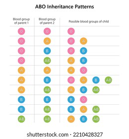 ABO Blood Group Inheritance Patterns. Vector Illustration.