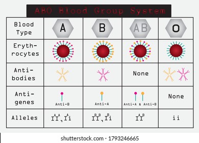 ABO blood group system and allele of ABO blood group. classification of blood group.