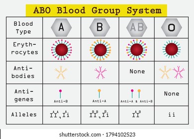 ABO blood group system and allele of ABO blood group. classification of blood group.