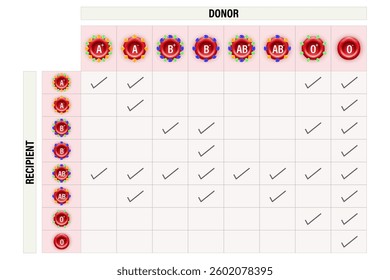 ABO blood groups. ABO Blood Compatibility Chart. Blood types, A,B, AB and O groups. Combinations of the type A and type B antigens.