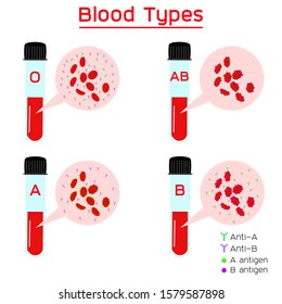 ABO Blood groups. four basic blood types, type A and type B antigens. Medical and healthcare infographic.  White background (vector style)