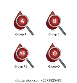 ABO Blood groups. four blood types, A,B, AB and O groups, made up from combinations of the type A and type B antigens. Blood donation. Blood droplets. Vector illustration.