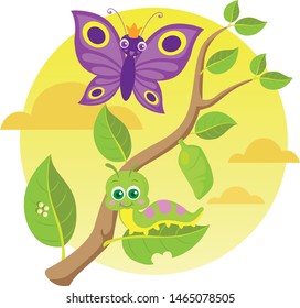 About how is butterfly metamorphosis