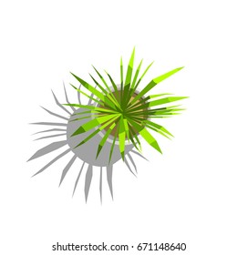 From above green plant growing in a pot. Vector illustration.
