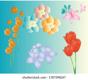 La ilustración anterior incluye diferentes tipos de flores: tulipán, daffodils, lirio y amapola.
