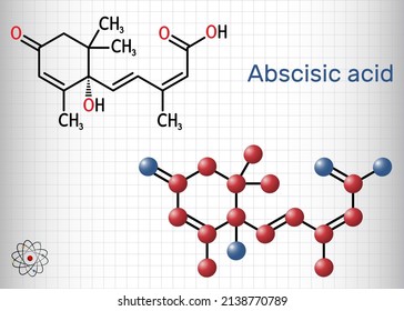 Abscisic acid, ABA  molecule. It is dormin, plant hormone. Structural formula, molecule model. Sheet of paper in a cage. Vector illustration svg