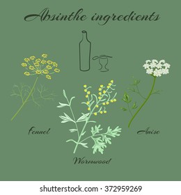 Absinthe ingredients. Grand wormwood (Artemisia absinthium) ,  green anise (Pimpinella anisum), sweet fennel (Foeniculum vulgare). Vector illustration.