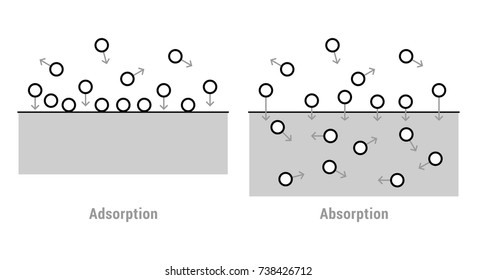 Absorption And Adsorption 