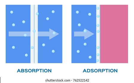 Absorption And Adsorption Vector Icon