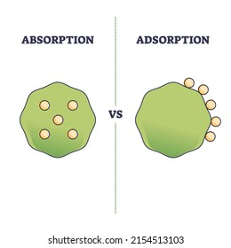 Absorption vs adsorption differences on molecular surface outline diagram. Labeled educational scheme with physical material or substance phenomena and chemical characteristics vector illustration.