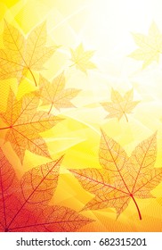 Abstarct autumn backgrounds with maple leaves. Eps8. CMYK. Global colors