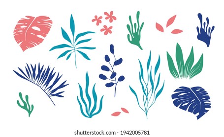 Abstarct tropical plants. Summer time foliage, monstera, jungle leaves, green garden flowers. Trendy minimal vector art