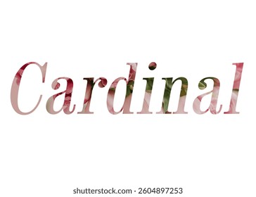 AbstracCardinal Text Effect Design White Background