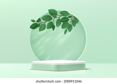 Abstract 3D light green and white round corner cube pedestal podium with leaf inside the circle on the wall. Pastel green minimal wall scene. Modern vector rendering for product display presentation. 