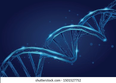 Abstract 3d polygonal wireframe DNA molecule helix spiral. Medical science, genetic biotechnology, chemistry biology, gene cell concept vector illustration