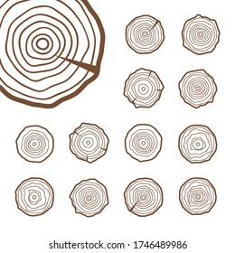 Abstract age annual circle tree background. Tree rings vector set