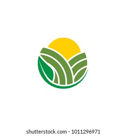 Abstract agriculture with field, sun and leaf logo design concept vector