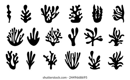 Abstract Algae seaweed shapes. Seaweed big set in silhouette style. Collection of black underwater plants.  vector illustration in flat style.
