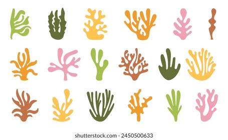 Abstract Algae seaweed shapes. Seaweed big set. Collection of colorful  underwater plants  vector illustration in flat style