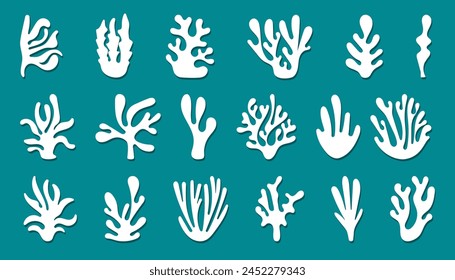 Abstract Algae seaweed shapes. Seaweed silhouette big set on dark green background. Collection of white underwater plants vector illustration in flat style	