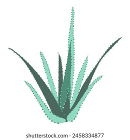 Abstractas planta de aloe vera en diseño plano. Arbusto suculento verde tropical. Ilustración vectorial aislada.