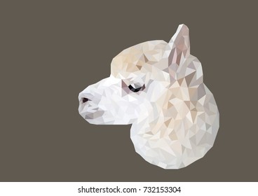 Abstract of Alpaca head shot low poly vector with dark background
