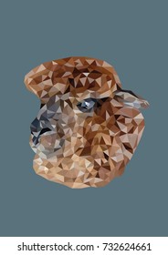 Abstract of Alpaca head shot low poly vector with dark background