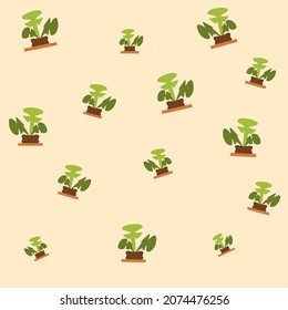Abstract angular potted houseplants. Executed in vector. Suitable for the design of notebooks, stationery, clothing, websites.