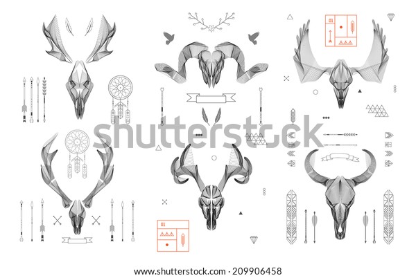  Abstract animal background line art.\
Skull collection. Antlers. Vector.\
Isolated.