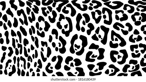 Abstract animal skin leopard pattern design. Jaguar, leopard, cheetah, panther fur. Black and white background.