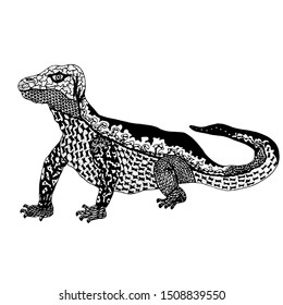 Abstract animals, lizard, iguana, reptile, gecko, antistress, composition on an isolated background, manual graphics by liner. Beautiful abstraction for children's textiles, print